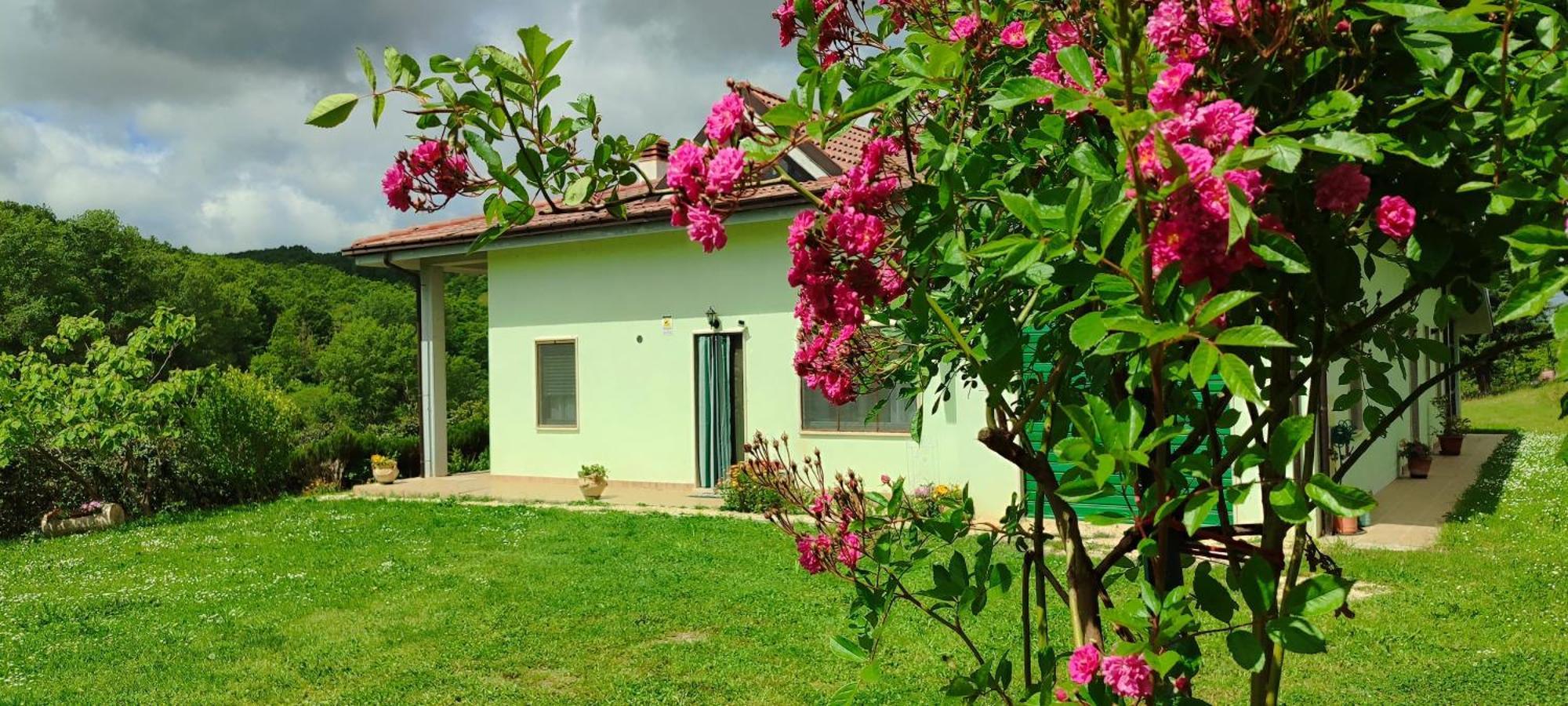 Pia'S House Garden Campobasso Exterior foto